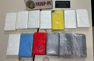A Polícia Civil do Piauí prende caminhoneiro com 13 Kg de cocaína (Foto: Reprodução) A Polícia Civil do Piauí prende caminhoneiro com 13 Kg de cocaína (Foto: Reprodução)