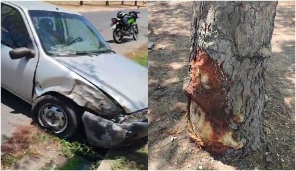 Carro colide com árvore e derrapa até outro lado da pista