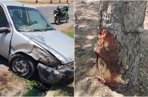 Carro colide com árvore e derrapa até outro lado da pista (Foto: Reprodução) Carro colide com árvore e derrapa até outro lado da pista (Foto: Reprodução)