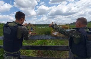 Polícia apreende pássaros em situação de cativeiro (Foto: Reprodução) Polícia apreende pássaros em situação de cativeiro (Foto: Reprodução)