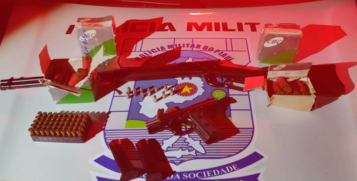 Armas e munições apreendidas com o idoso
