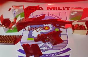 Armas e munições apreendidas com o idoso (Foto: Reprodução)