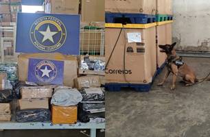 Criminosos utilizavam correios para enviar drogas para o Piauí (Foto: Reprodução) Criminosos utilizavam correios para enviar drogas para o Piauí (Foto: Reprodução)