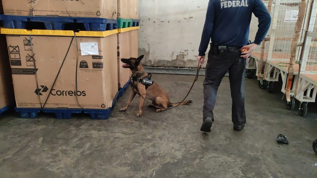 Equipe K9 em ação