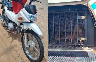 Mulher tenta fugir da polícia e é presa com motocicleta roubada em Teresina (Foto: Reprodução) Mulher tenta fugir da polícia e é presa com motocicleta roubada em Teresina (Foto: Reprodução)