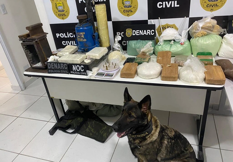 Operação do DENARC resulta na apreensão de 10 kg de entorpecentes