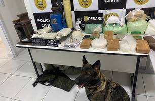 Operação do DENARC resulta na apreensão de 10 kg de entorpecentes (Foto: Divulgação) Operação do DENARC resulta na apreensão de 10 kg de entorpecentes (Foto: Divulgação)