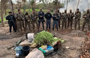 Polícia descobre plantação com 5 mil pés de maconha no interior do Maranhão (Foto: Reprodução) Polícia descobre plantação com 5 mil pés de maconha no interior do Maranhão (Foto: Reprodução)