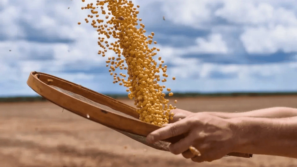 Exportações do Piauí registram aumento de 20,8% em novembro comparado a 2022