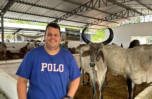Fazenda Mata Velha se destaca com força do rebanho leiteiro na Expoapi 2023 (Foto: Stefanny  Sales / Conecta Piauí) Fazenda Mata Velha se destaca com força do rebanho leiteiro na Expoapi 2023 (Foto: Stefanny  Sales / Conecta Piauí)