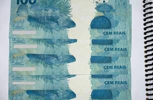 Cédulas falsas (Foto: Divulgação)
