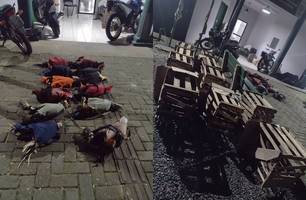 Galos apreendidos pela polícia (Foto: SSP)