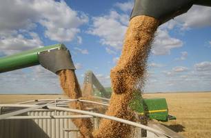 No ano passado, em abril, foram exportados US$ 161,5 milhões (Foto: Divulgação/ Governo do Piauí) No ano passado, em abril, foram exportados US$ 161,5 milhões (Foto: Divulgação/ Governo do Piauí)
