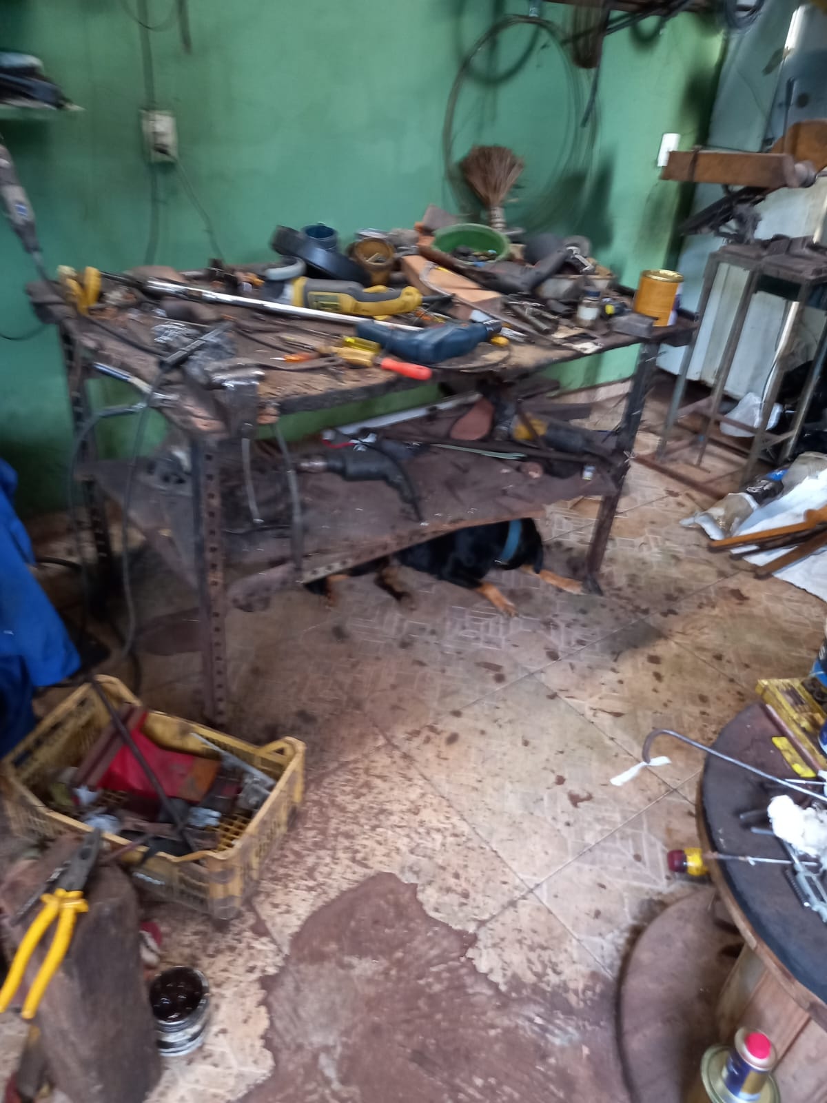 PC desarticula loja de fabricação de armas caseiras