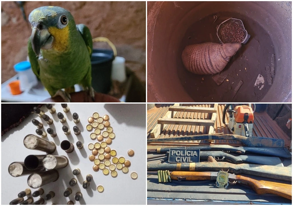 Animais e armas apreendidos