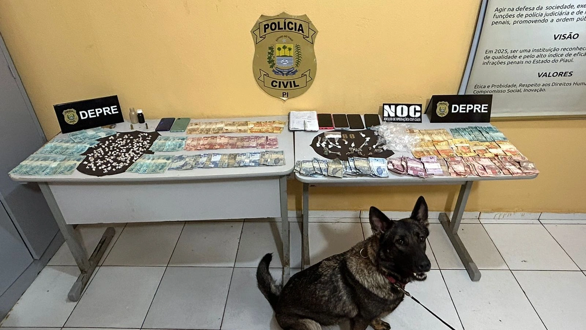 Apreensão realizada em Porto-PI