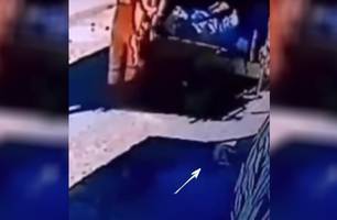 Cachorro é jogado em caminhão de lixo após ser atropelado por ele (Foto: Reprodução/ Redes Sociais) Cachorro é jogado em caminhão de lixo após ser atropelado por ele (Foto: Reprodução/ Redes Sociais)