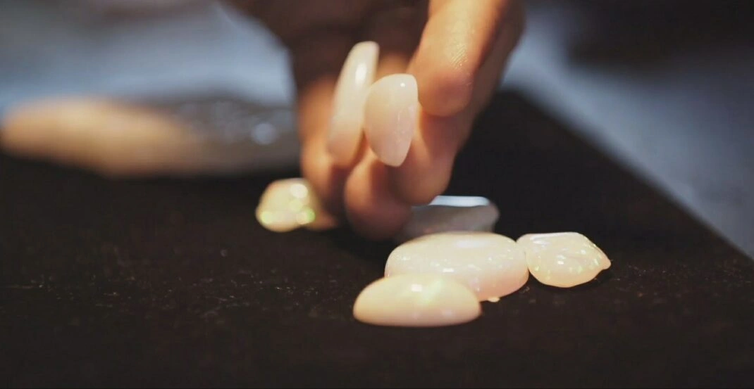 Encantos e atrações durante o Festival de Inverno