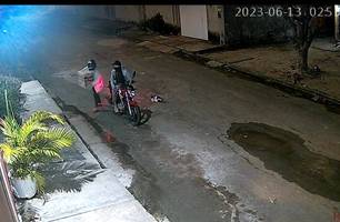 Imagens da câmera de segurança do local onde os animais foram abandonados (Foto: Reprodução)