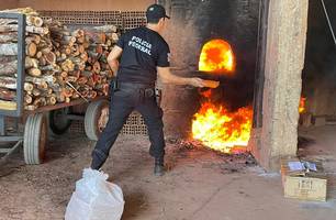 Operação de incineração de drogas realizada nesta segunda-feira (Foto: Divulgação) Operação de incineração de drogas realizada nesta segunda-feira (Foto: Divulgação)