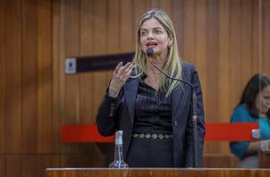 A deputada estadual Gracinha Mão Santa (Foto: Divulgação/Alepi) A deputada estadual Gracinha Mão Santa (Foto: Divulgação/Alepi)