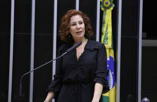 Deputada federal Carla Zambelli (PL-SP) (Foto: Michel Jesus/ Câmara dos Deputados) Deputada federal Carla Zambelli (PL-SP) (Foto: Michel Jesus/ Câmara dos Deputados)