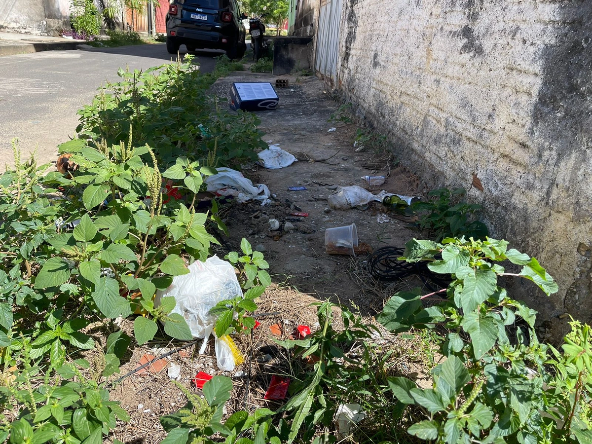 Mato e lixo estão por toda parte