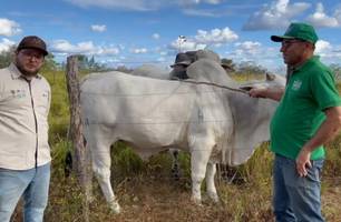 Médico veterinário e produtor, João Neto e o engenheiro agrônomo e técnico de campo da ABCZ, Davi Donizeti (Foto: Tânia Araújo / Conecta Piauí) Médico veterinário e produtor, João Neto e o engenheiro agrônomo e técnico de campo da ABCZ, Davi Donizeti (Foto: Tânia Araújo / Conecta Piauí)