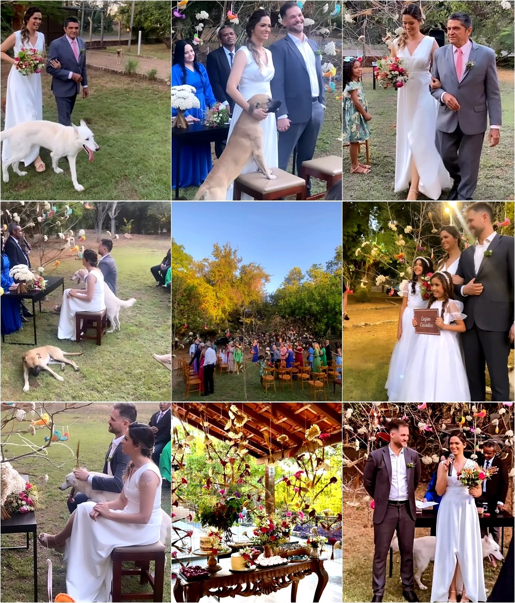 Casamento de Gessy Fonseca e Roberto Veloso