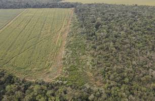 Ibama multa fazendeiros em R$ 600 mil por desmatamento (Foto: Ibama) Ibama multa fazendeiros em R$ 600 mil por desmatamento (Foto: Ibama)