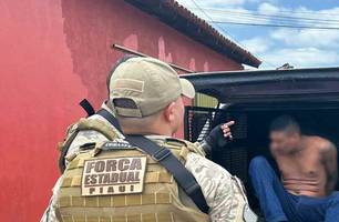 Suspeito preso (Foto: Divulgação / PC-PI) Suspeito preso (Foto: Divulgação / PC-PI)