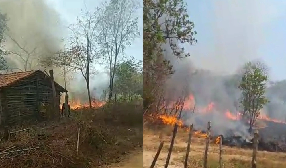 Casas são ameaças durante incêndio de grande proporções em Lagoa do Piauí