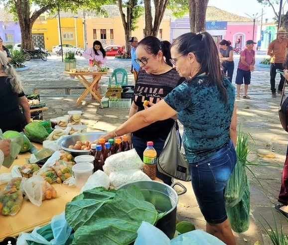 Feira da Agricultura Familiar é realizada em Pedro II