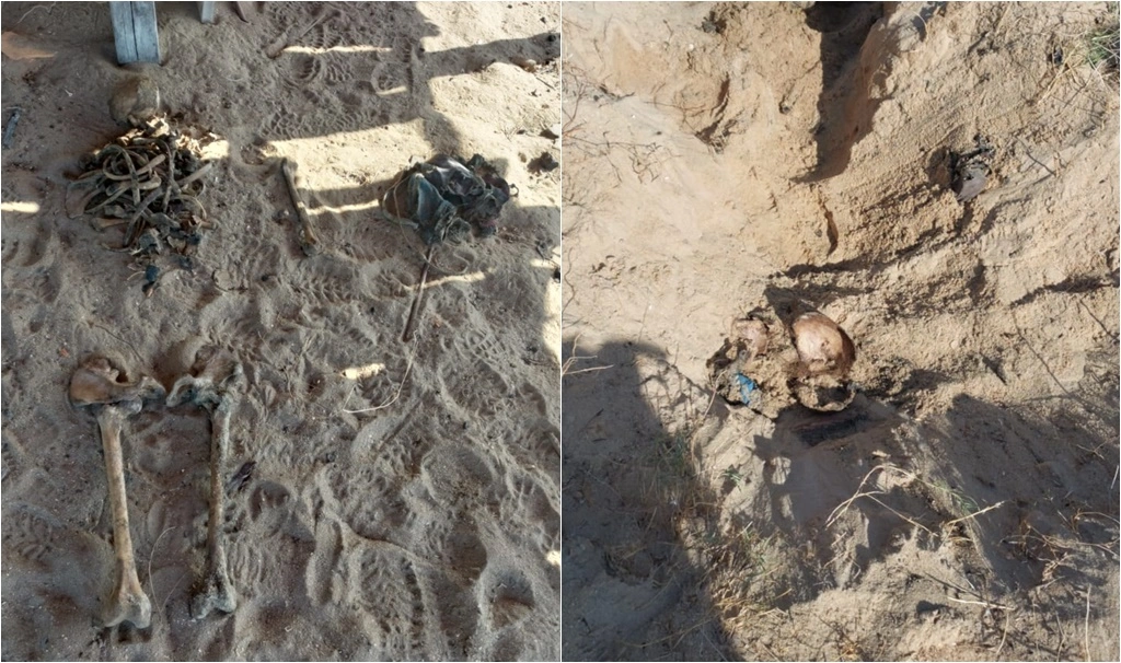 Ossada encontrada em Luis Correia