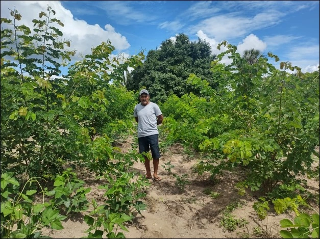 Projeto do Piauí é premiado no maior congresso de apicultura do mundo