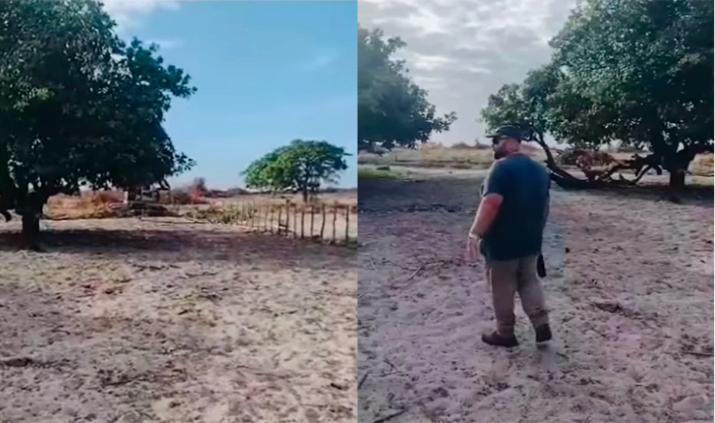 Agricultores denunciam desmatamento ilegal por grileiros em Cajueiro da Praia
