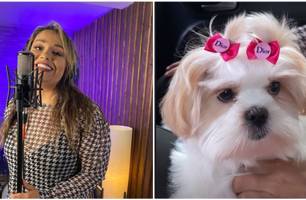 Cantora da banda 'Farra da Gordinha' pede ajuda para encontrar cadela em Teresina (Foto: Reprodução) Cantora da banda 'Farra da Gordinha' pede ajuda para encontrar cadela em Teresina (Foto: Reprodução)