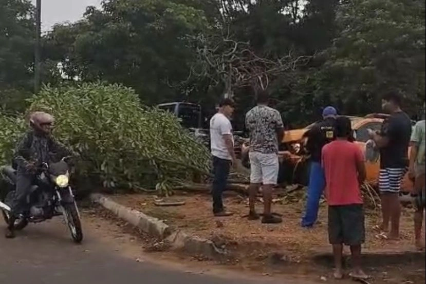 Carro bate e derruba árvore sobre motociclista na avenida João XVIII em Teresina