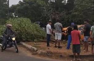 Carro bate e derruba árvore sobre motociclista na avenida João XVIII em Teresina (Foto: Reprodução) Carro bate e derruba árvore sobre motociclista na avenida João XVIII em Teresina (Foto: Reprodução)