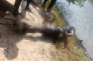 Corpo de um homem é encontrado boiando em área de mangue em Luís Correia (Foto: Reprodução) Corpo de um homem é encontrado boiando em área de mangue em Luís Correia (Foto: Reprodução)