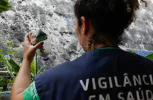 Dengue e chikungunya levam Minas Gerais a decretar emergência (Foto: Fernando Frazão / Agência Brasil) Dengue e chikungunya levam Minas Gerais a decretar emergência (Foto: Fernando Frazão / Agência Brasil)