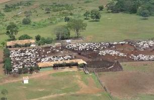Fazenda é colocada à venda por R$ 1 bilhão na cidade de Aroazes no Piauí (Foto: Reprodução/Instagram) Fazenda é colocada à venda por R$ 1 bilhão na cidade de Aroazes no Piauí (Foto: Reprodução/Instagram)