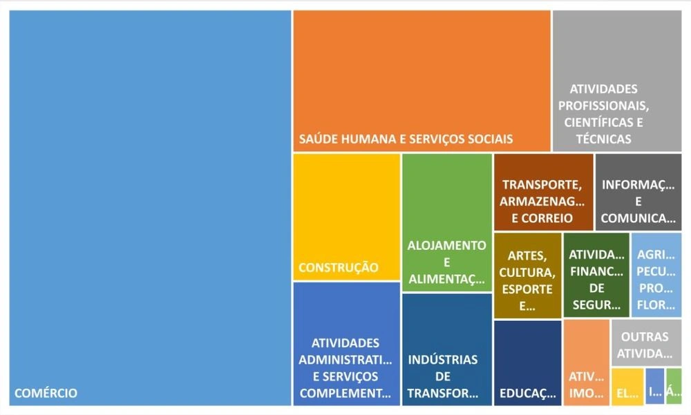 Gráfico representa as atividades econômicas das empresas abertas em 2023