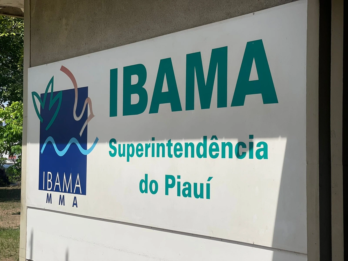 Ibama Piauí