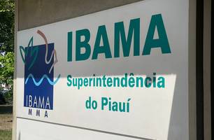 Ibama Piauí (Foto: Tiago Moura/ Conecta Piauí) Ibama Piauí (Foto: Tiago Moura/ Conecta Piauí)