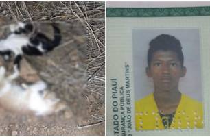 Jovem suspeito de matar gatos a tiros e ameçar tutores é preso no Piauí (Foto: Reprodução) Jovem suspeito de matar gatos a tiros e ameçar tutores é preso no Piauí (Foto: Reprodução)
