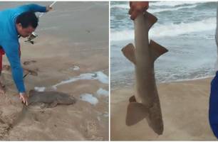 O Conecta Piauí apurou que os pescadores estavam pescando com anzol quando pegaram o animal (Foto: Reprodução) O Conecta Piauí apurou que os pescadores estavam pescando com anzol quando pegaram o animal (Foto: Reprodução)