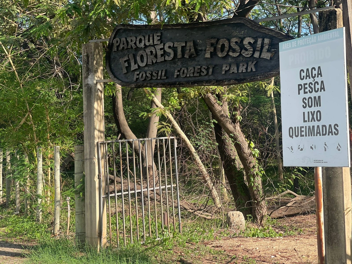 Parque Floresta Fóssil