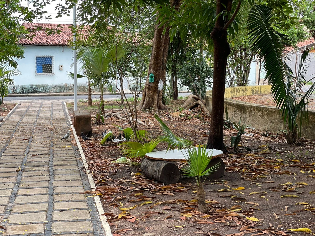 Por descaso da prefeitura de Teresina, moradores decidem reformar praça
