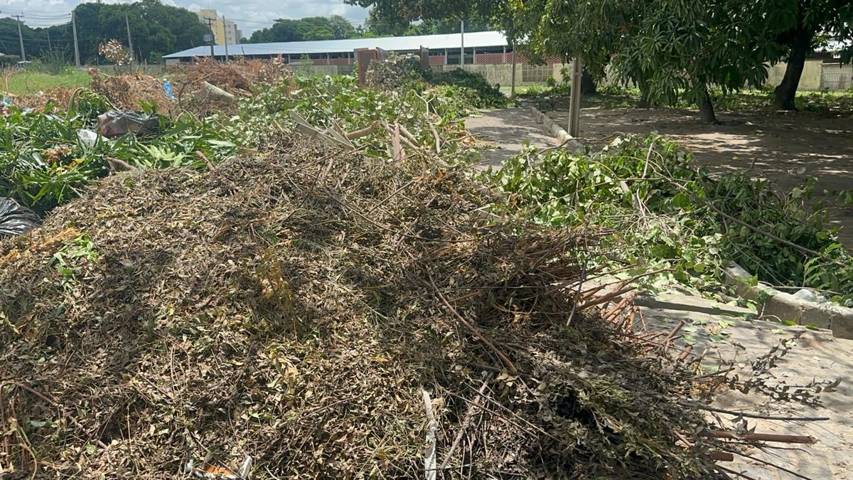 Restos de alimentos, pneus e roupas velhas, sacolas plásticas e até fios elétricos se espalham pelo canteiro